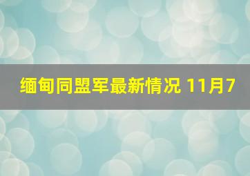 缅甸同盟军最新情况 11月7